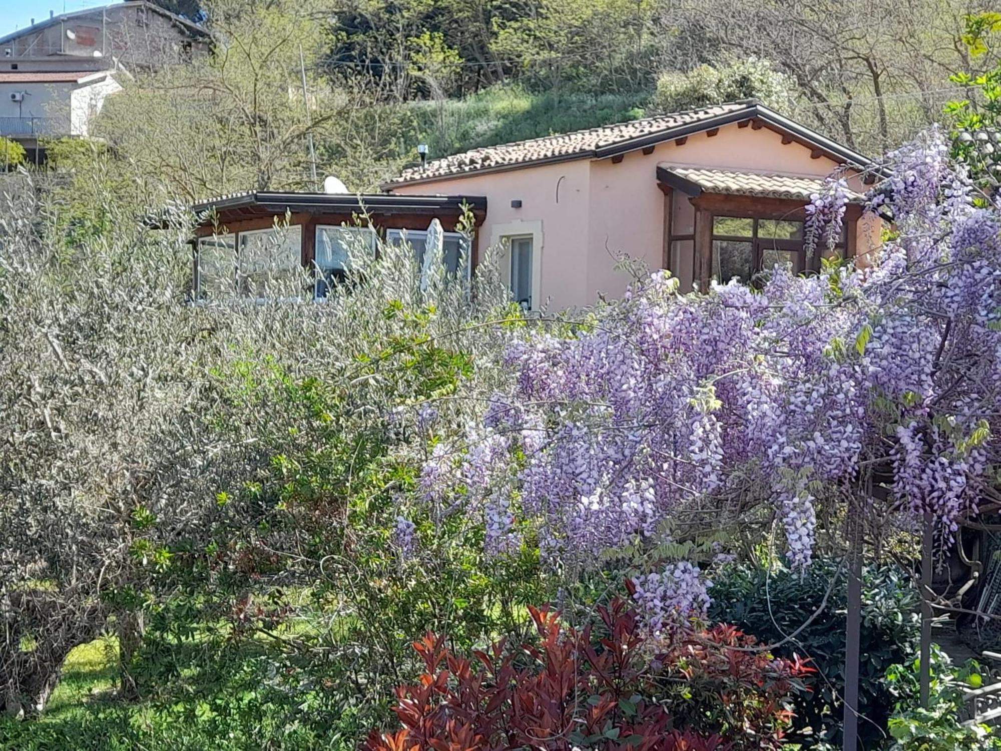 Villa Clementine Piazza Armerina Exteriör bild